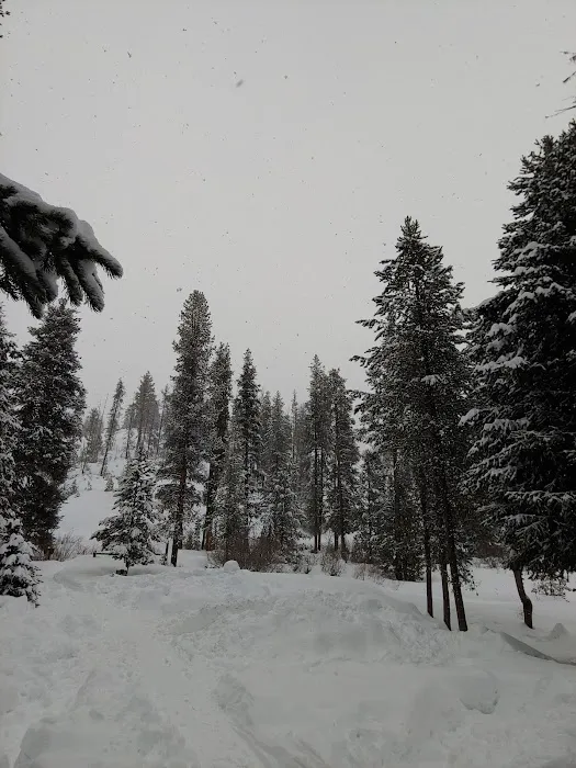 Beaver Creek Cabin Picture 5