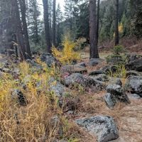 Big Eddy Campground ico