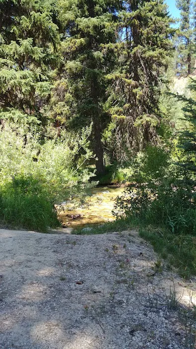 Queens River Campground Picture 4
