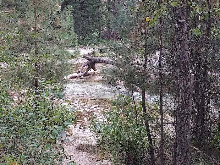 Queens River Campground Picture 5