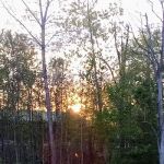 Rosewood Pointe Mobile Home Park