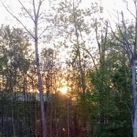 Rosewood Pointe Mobile Home Park ico