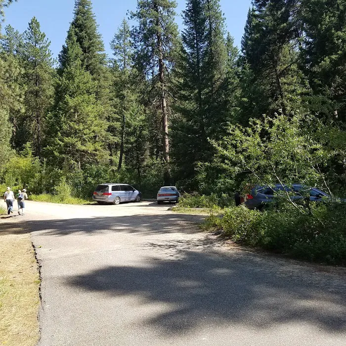Hayfork Group Campground Picture 7