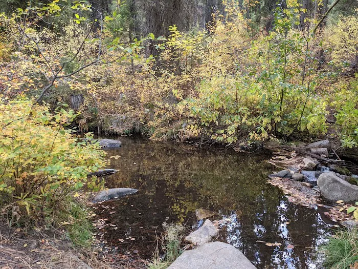Hayfork Group Campground Picture 1