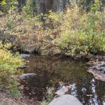 Hayfork Group Campground