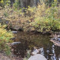 Hayfork Group Campground ico