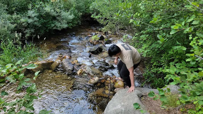 BAD BEAR CAMPGROUND Picture 4