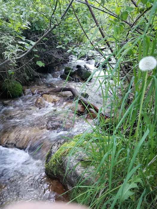 BAD BEAR CAMPGROUND Picture 8