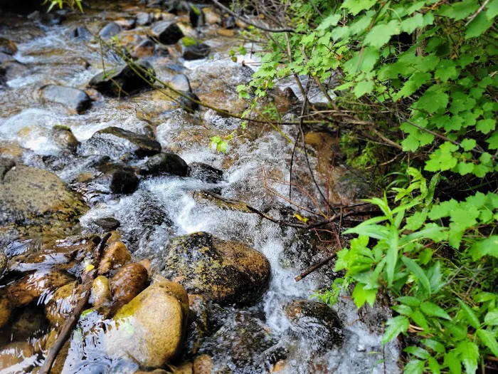 BAD BEAR CAMPGROUND Picture 5