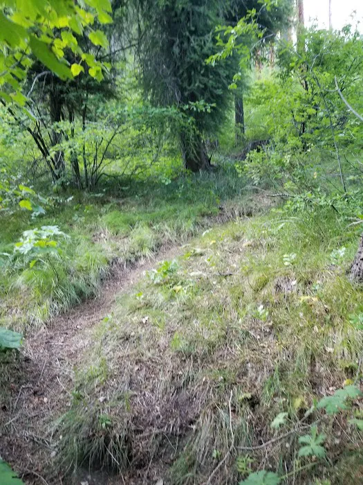 BAD BEAR CAMPGROUND Picture 6