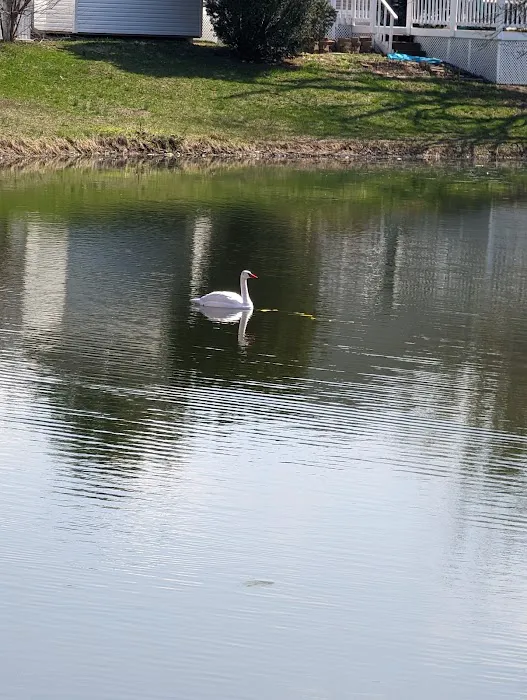 Lake Of The Pines Mobile Home Park Picture 3