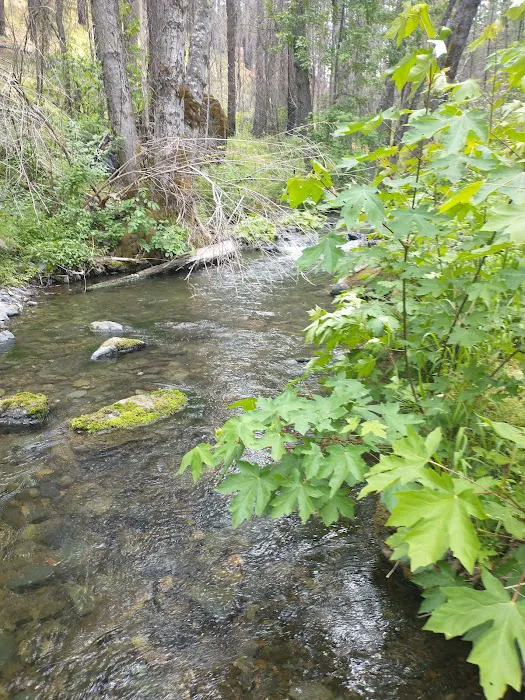 Basin Gulch Mid-fk Cottonwood Creek Cg-f Picture 1