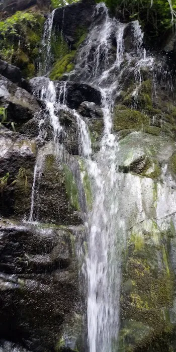 Salt Creek Campground Picture 5