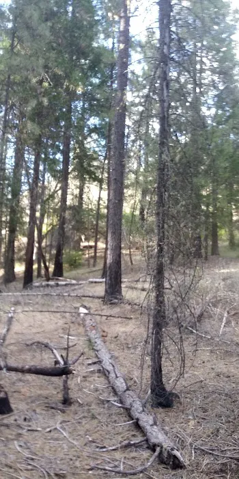 Salt Creek Campground Picture 1