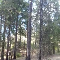 Salt Creek Campground ico
