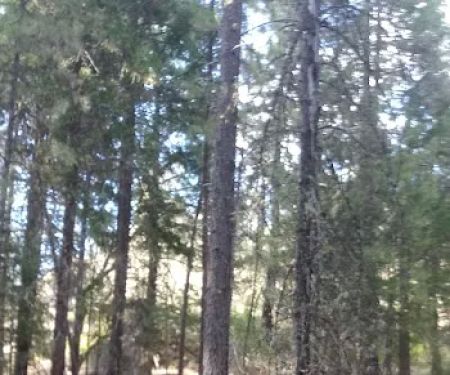 Salt Creek Campground