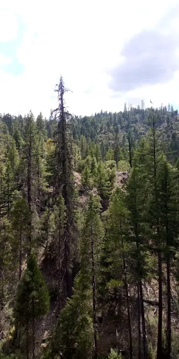 Salt Creek Campground Picture 3