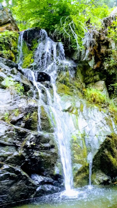 Salt Creek Campground Picture 4