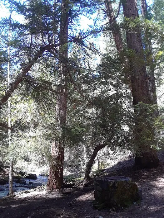 North Fork Beegum Creek Fcg Picture 3