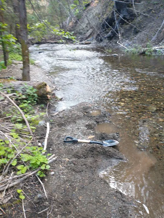 North Fork Beegum Creek Fcg Picture 1