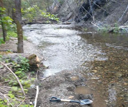 North Fork Beegum Creek Fcg