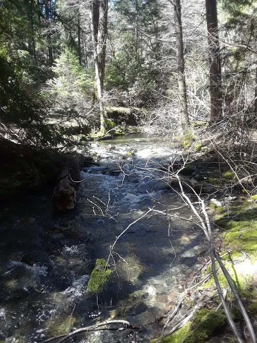 North Fork Beegum Creek Fcg Picture 10