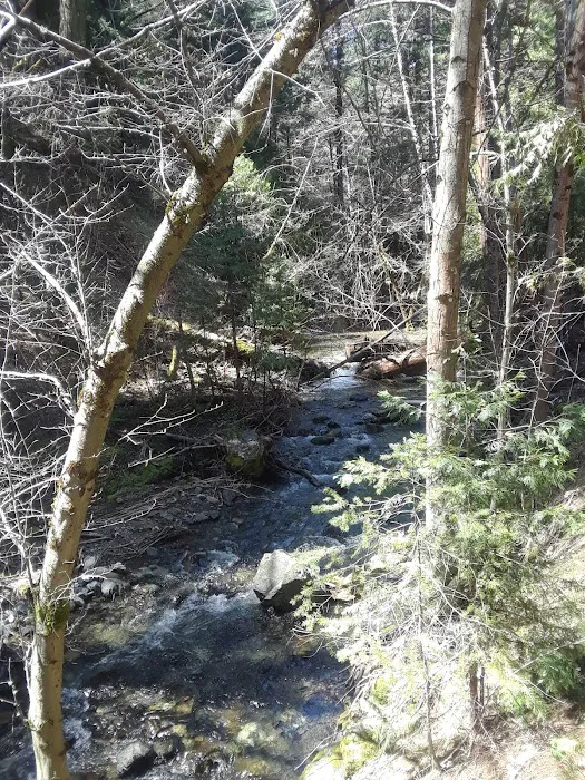 North Fork Beegum Creek Fcg Picture 8