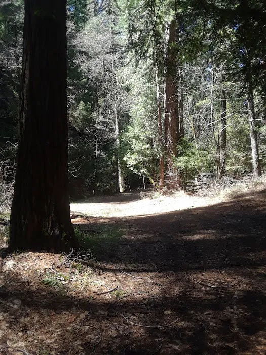 North Fork Beegum Creek Fcg Picture 9