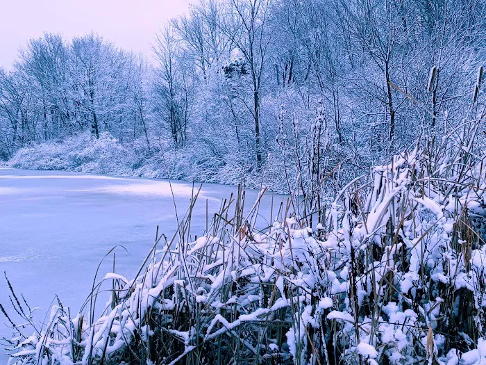 Kearsley Lake Terrace Picture 6
