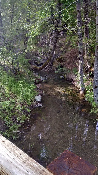 Philpot Campground Picture 3