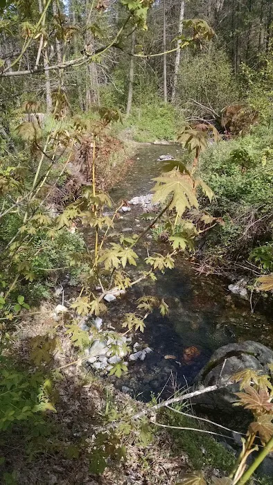 Philpot Campground Picture 2