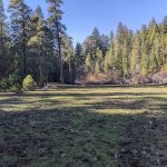 White Rock Campground