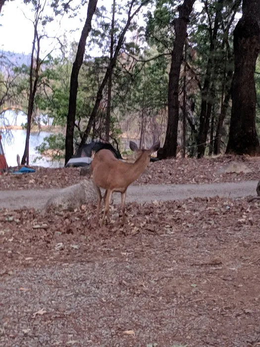 Dry Creek Group Campground Picture 3