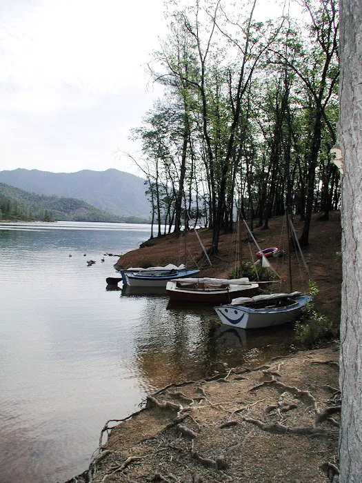 Dry Creek Group Campground Picture 2
