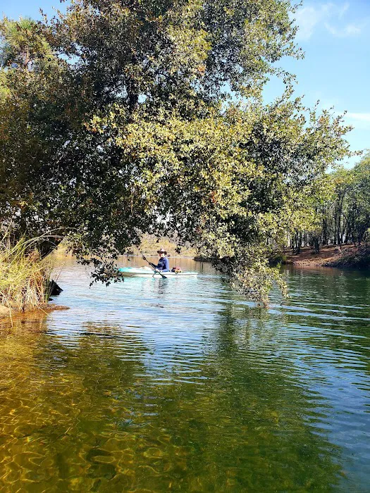 Dry Creek Group Campground Picture 9