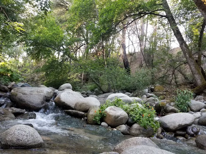 Brandy Creek Campground Picture 2