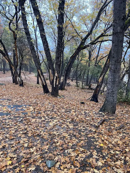 Brandy Creek Campground Picture 3