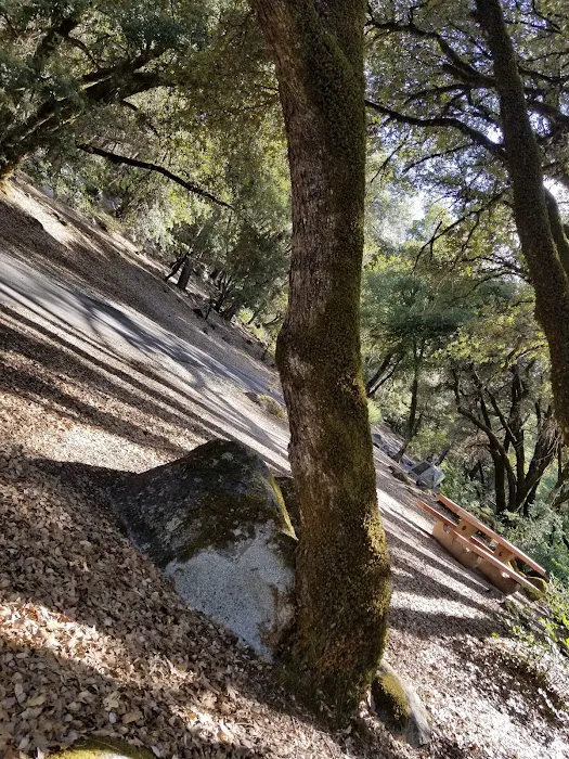 Brandy Creek Campground Picture 5