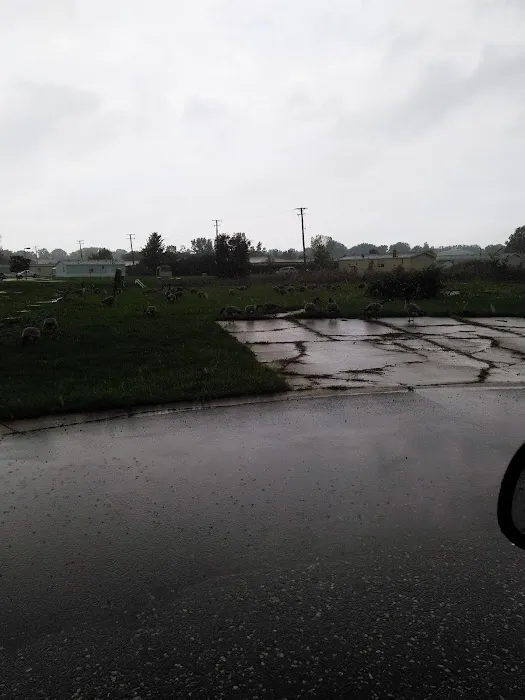 Windsor Farms Picture 3