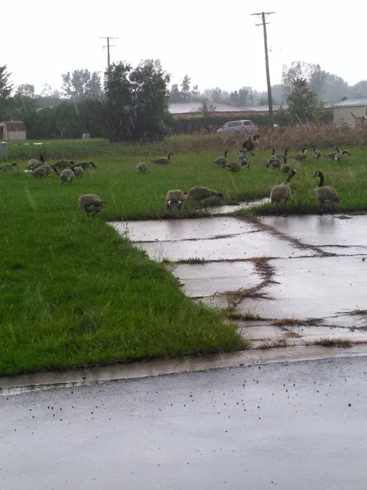 Windsor Farms Picture 2