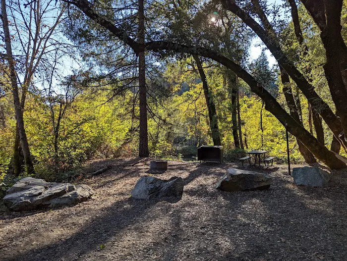 Peltier Bridge Campground Picture 5