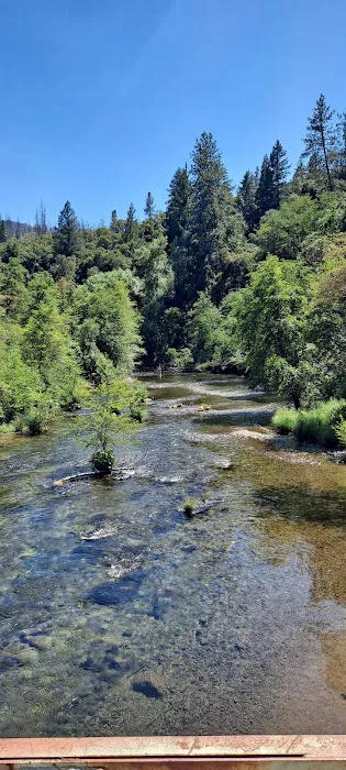 Peltier Bridge Campground Picture 2