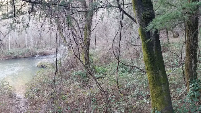 Peltier Bridge Campground Picture 6
