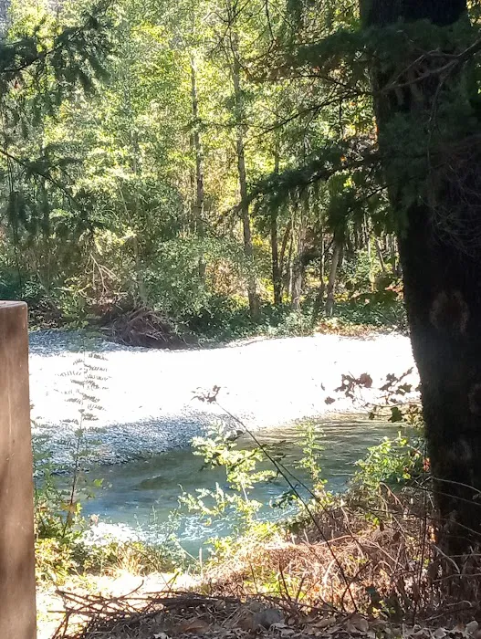 Peltier Bridge Campground Picture 3