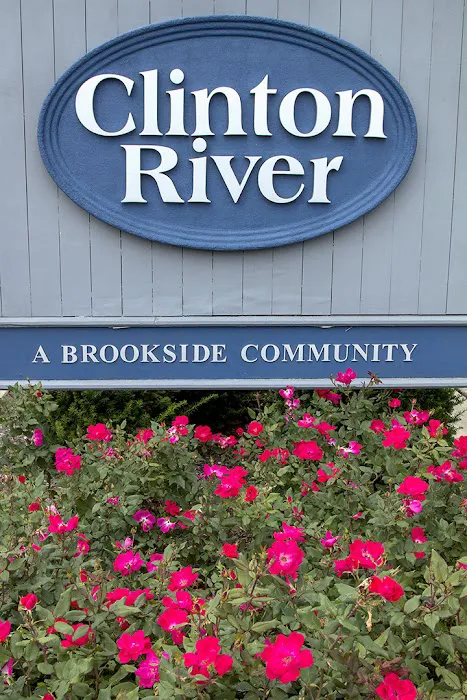 Clinton River Picture 8