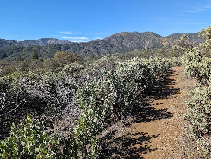 Walker Mine Campground Picture 4