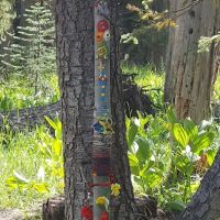 Juniper Lake Campground ico