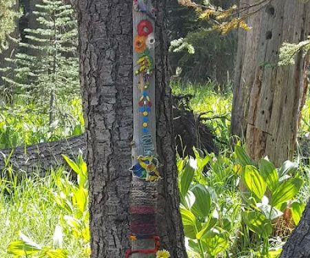 Juniper Lake Campground