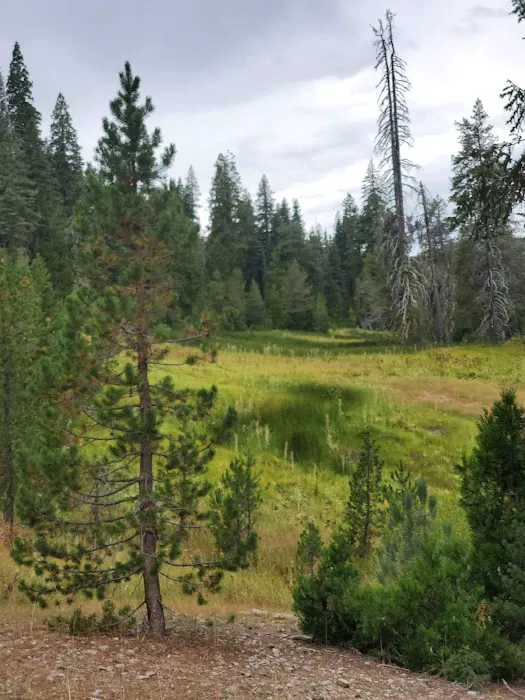 Juniper Lake Campground Picture 10