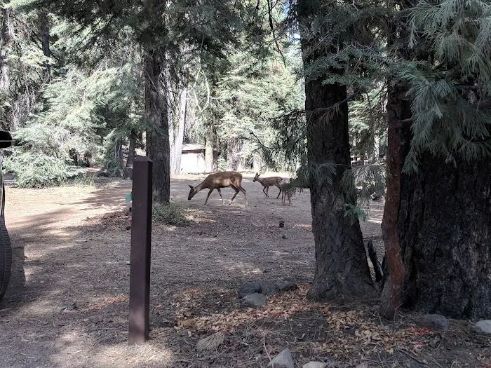 Warner Valley Campground Picture 10